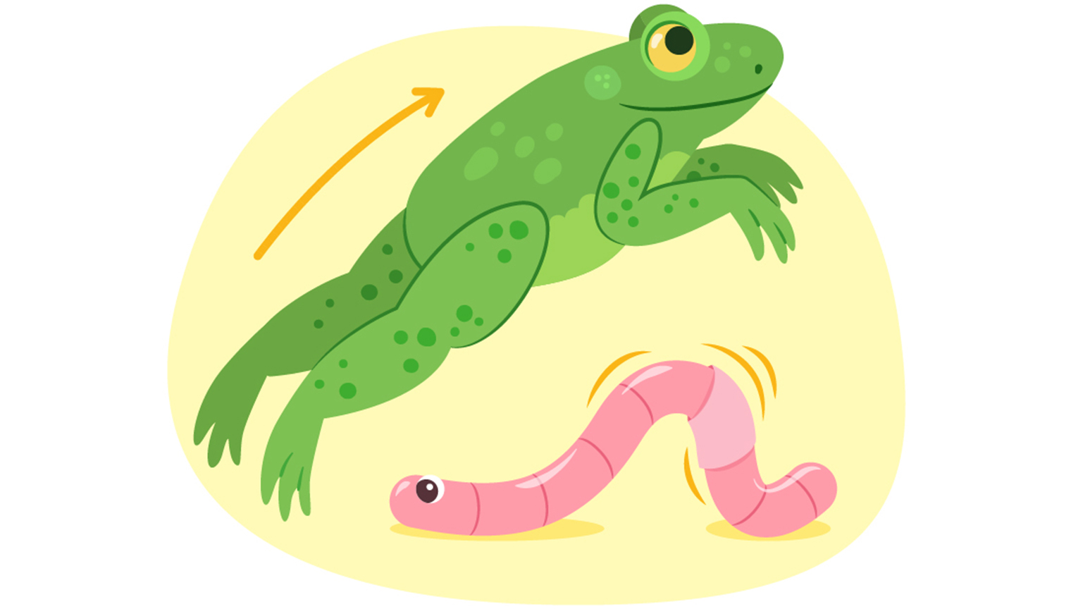 tvo illustration frog and worm