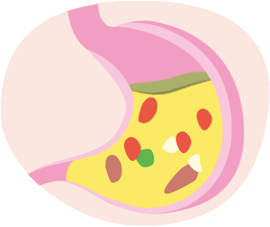 scin5_10.201b tvo animation digestion